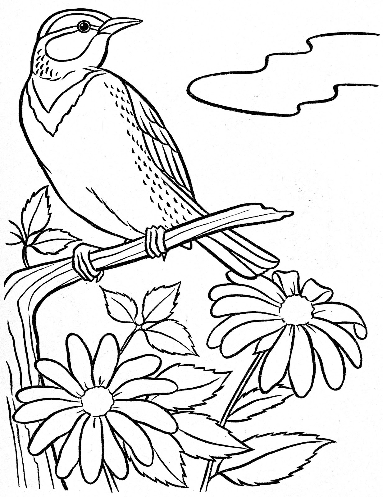 Птичка раскраска